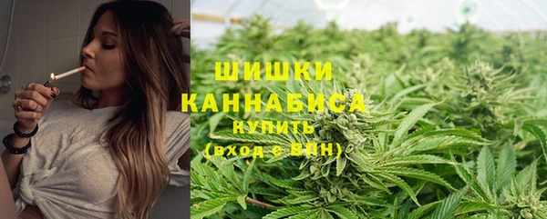 мескалин Тайга