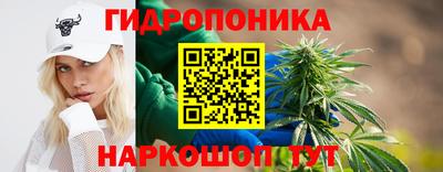 стаф Свободный