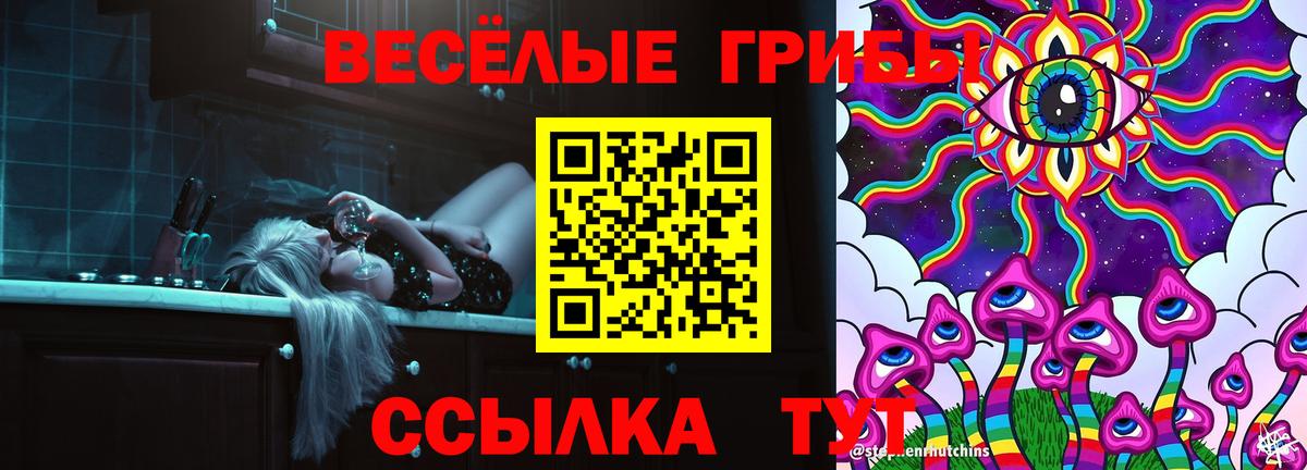 купить наркоту  Галлюциногенные грибы GOLDEN TEACHER  Севастополь  Вход с VPN  Галлюциногенные грибы Magic Shrooms 