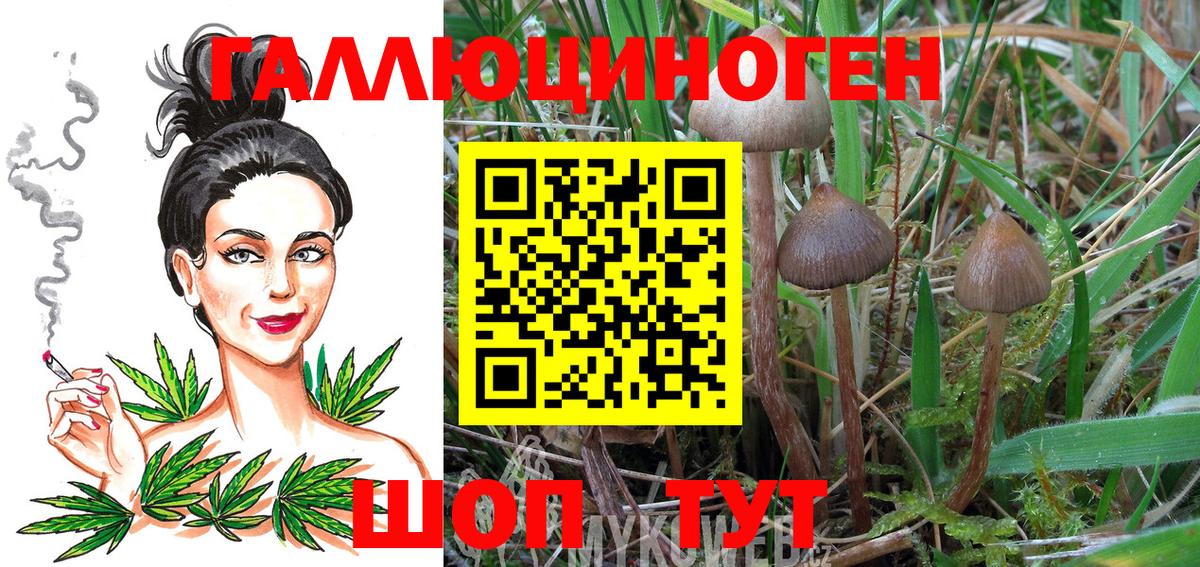 Псилоцибиновые грибы прущие грибы Севастополь